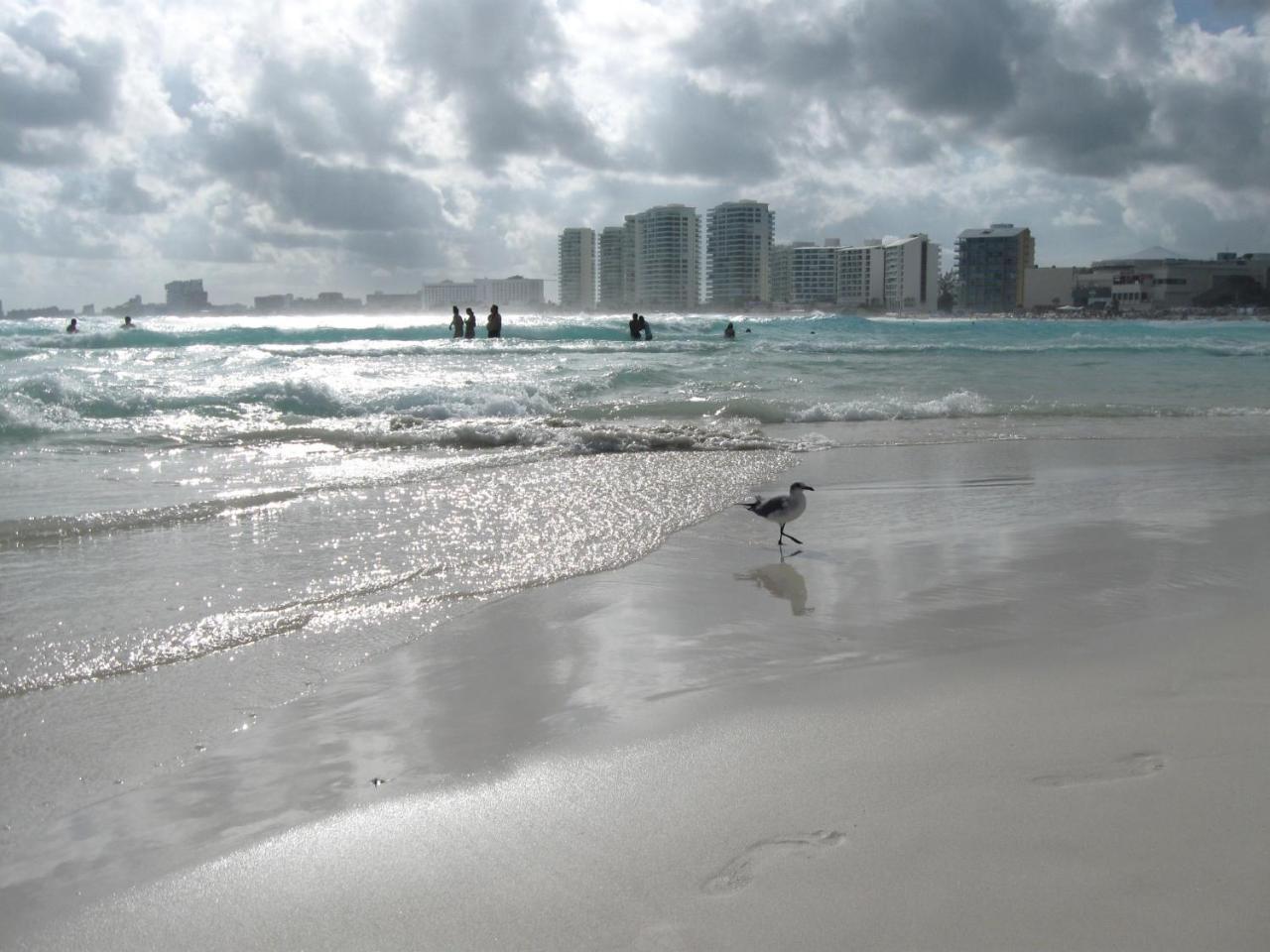 1 Bedroom Seaview Condo In Ocean Dream Resort Cancún Kültér fotó