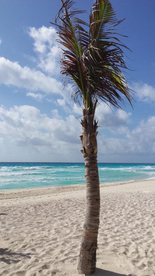 1 Bedroom Seaview Condo In Ocean Dream Resort Cancún Kültér fotó